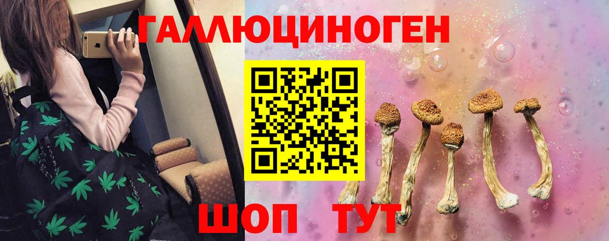 Галлюциногенные грибы Magic Shrooms  Псилоцибиновые грибы GOLDEN TEACHER  Азов  Вход с VPN 